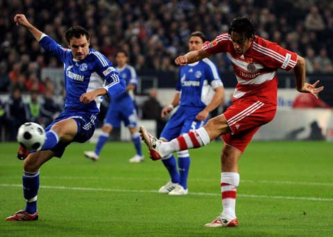 楊政表示希 楊政表示希